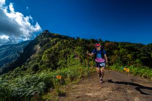 BIB: 
                            <button type="button" onclick="openModal(19033902)" class="btn btn-primary btn-sm float-right btn-popup" data-toggle="modal" data-target=".modal-high-quality">
                        <i class="fas fa-shopping-cart"></i> Add to Cart
                    </button>
                                            <button type="button" onclick="isThisMe(19033902, true)" class="btn btn-success btn-sm float-right btn-popup btn-isme hidden" data-toggle="tooltip" data-placement="bottom" title="นี่คือรูปของคุณใช่ไหม คลิกที่นี่เพื่อเอาเข้าอัลบั้ม">
                        <i class="fas fa-plus"></i> Add to album
                    </button>
                    <button type="button" onclick="isThisMe(19033902, false)" class="btn btn-warning btn-sm float-right btn-popup btn-isnotme hidden">
                        <i class="fas fa-ban"></i> Remove from album
                    </button>